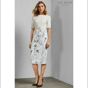 NWT Ted Baker fitted dress (Ted size 2)